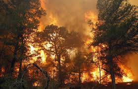 Bastrop Fire from christianpost.com Bastrop Fire from christianpost.com