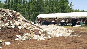 Composting cups and plates and Bonnaroo Composting cups and plates and Bonnaroo
