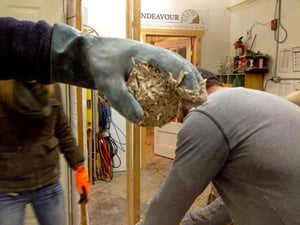 Insulation Alternative: Hempcrete