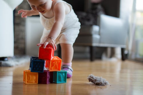 toxins in household dust toxins in household dust