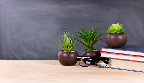 plants_in_classroom.jpg plants_in_classroom.jpg