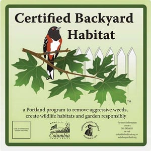3_Backyard_Habitat.jpg 3_Backyard_Habitat.jpg