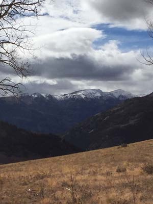 Mariposa_Meadows_1015.jpg Mariposa_Meadows_1015.jpg