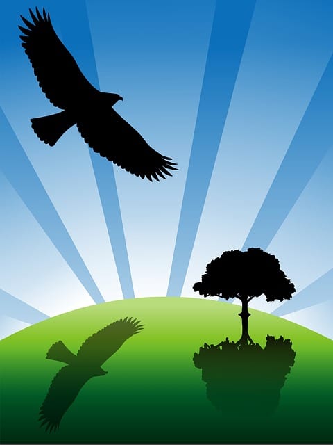 Earth Day 2016 Earth Day 2016
