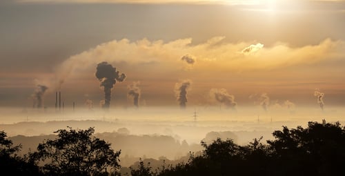 Scott Pruitt denies carbon emissions cause climate change Scott Pruitt denies carbon emissions cause climate change