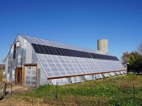Golden Hoof Greenhouse Golden Hoof Greenhouse