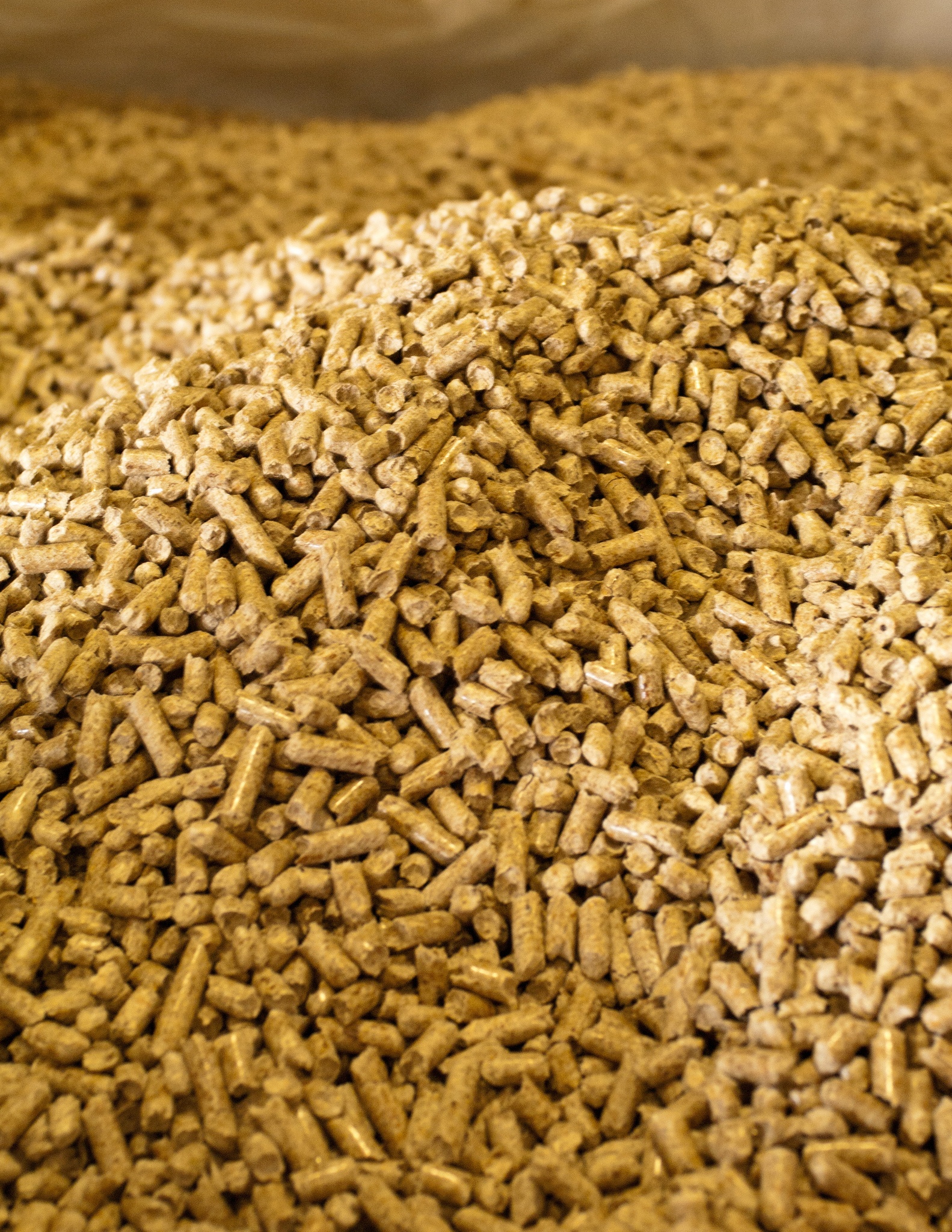 Waste Material Use Boosts Wood Pellet Sustainability