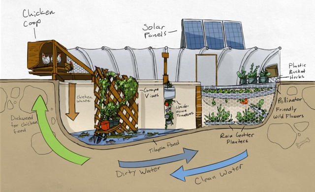 Design Basics for Growing Year Circuit Diagram
