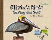 Save the Gulls
