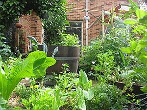 Permaculture as Green Landscaping Design