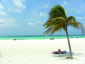 Aruba Aruba