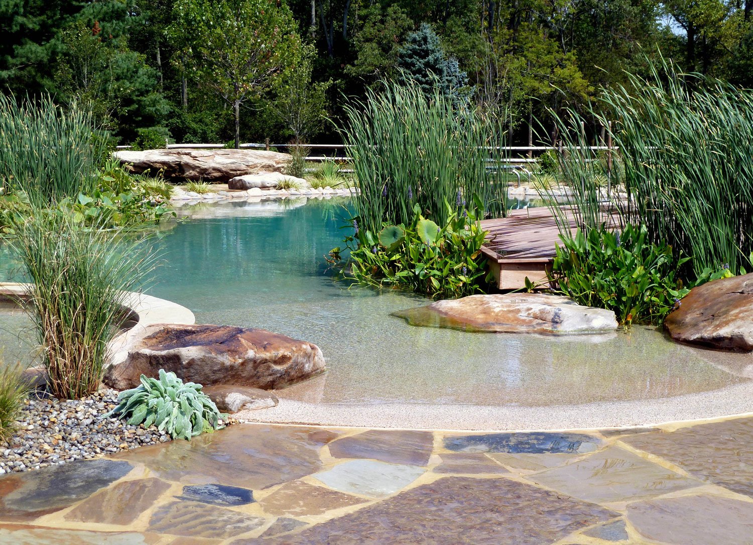 Natural Swimming Pools Work Best In Warm Climates