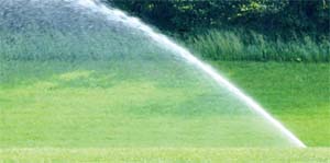sprinkler sprinkler