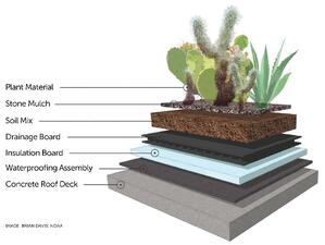 green roof green roof