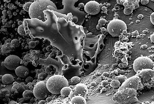 fly ash