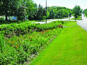 Swale Design Swale Design