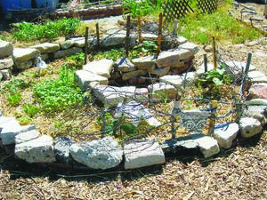 Micro-Gardening