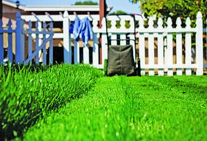 Mowing Sean Hobson Mowing Sean Hobson