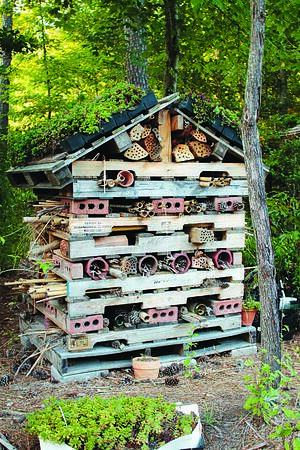 Landscape Planning for Pollinators