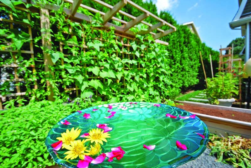 EdibleGarden EdibleGarden