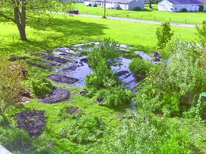 Landscaping in Soggy Spots