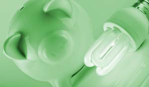 Busting Energy Saving Myths Busting Energy Saving Myths