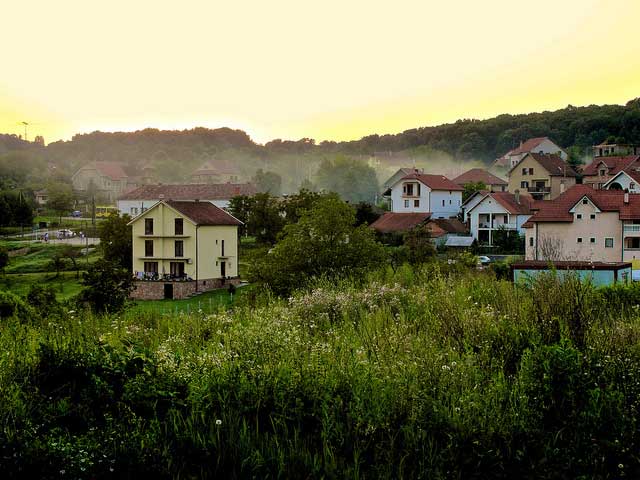 Natural Suburbia