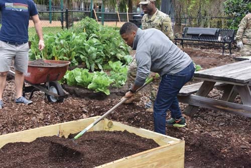 SUS City - Orlando farming