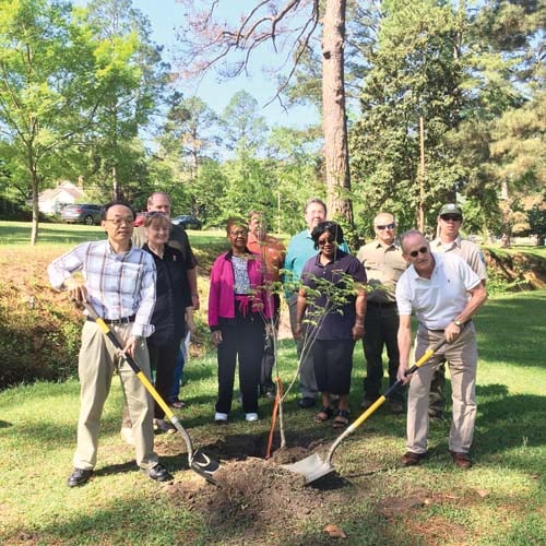 YKK AP Tree Planting-300-web