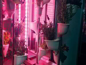 Natufia Garden - redlight-web