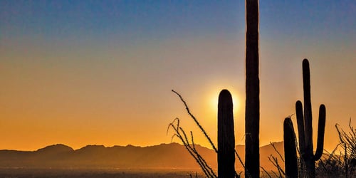 Tucson sunset - Sheila Sund 300-web
