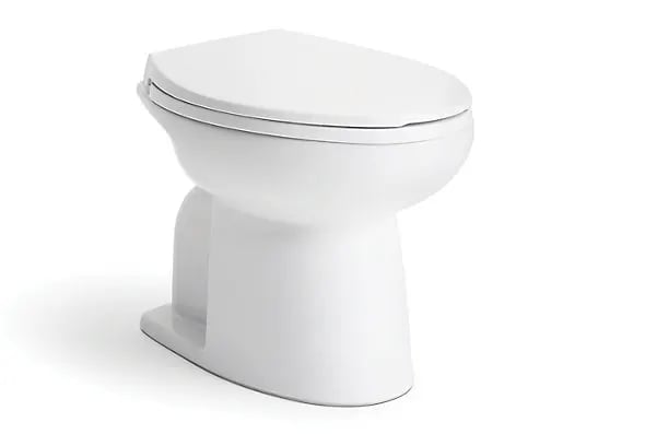 Kohler Rinse toilet