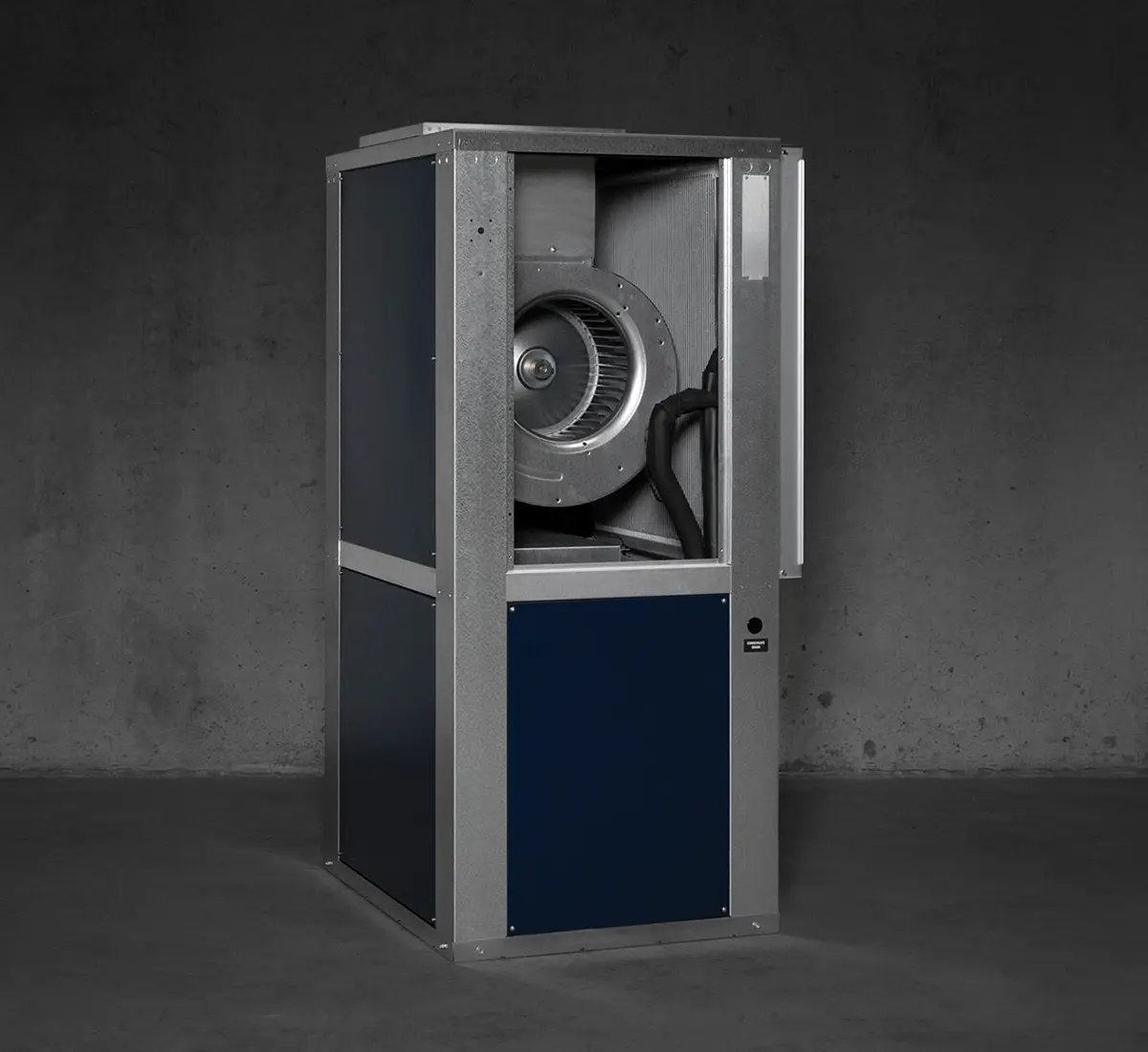 03 Lennar Dandelion-stylized 300