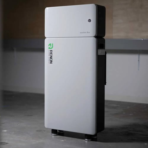 Renon Xcellent-Plus 300