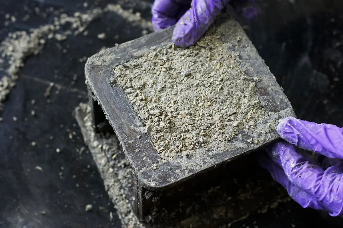 shutterstock_1229662996 ClimateTech Solutions Sustainable Materials and Circularity