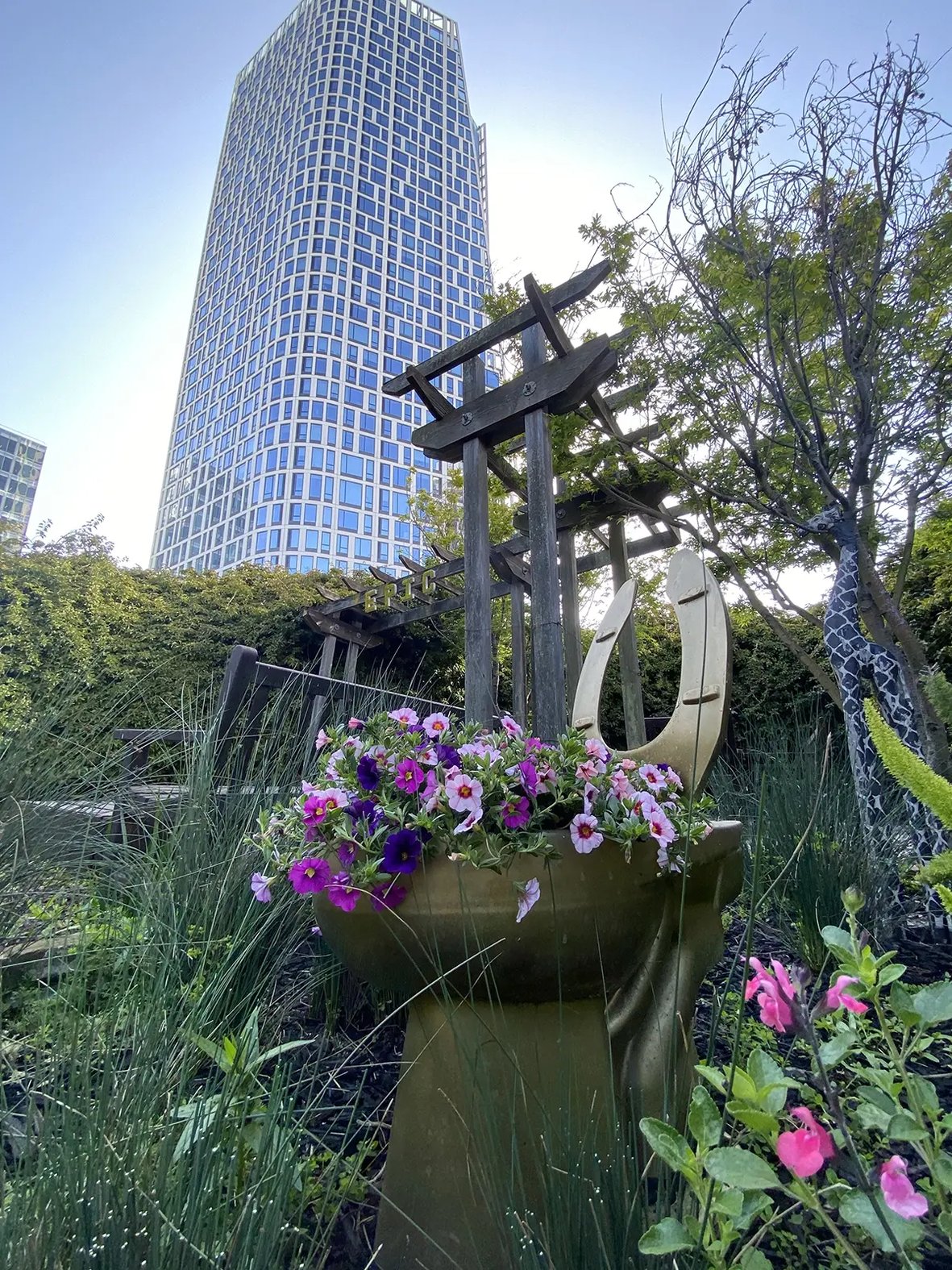 Fifteen Fifty from Epic garden across the street