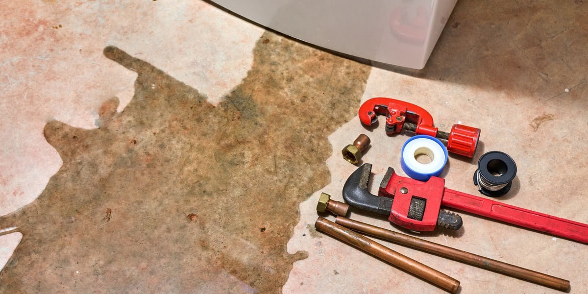 Don’t Pull the Plug on Your Water Heater without Research