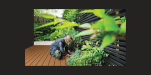 Wood Prices Cause Homeowners to Re-Think Decking Options