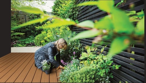 BST_Deck_SAN_Moringa_003_(1)2