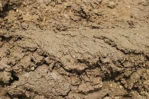 Rammed Earth: Affordable, and Relatively Unknown
