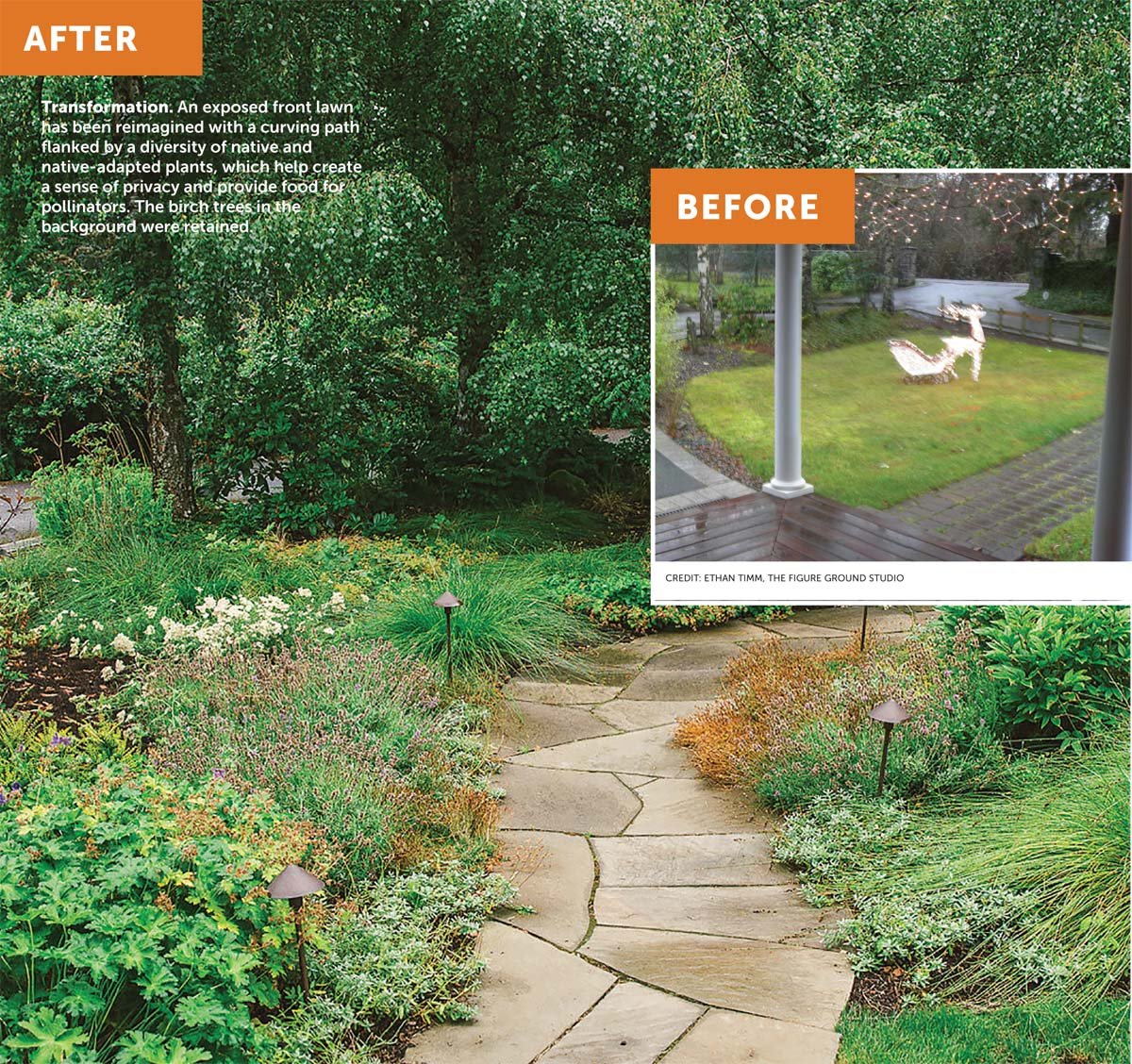 Before and After Sustainable Landscaping