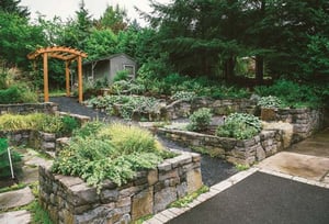 Sustainable Landscaping in the Suburbs