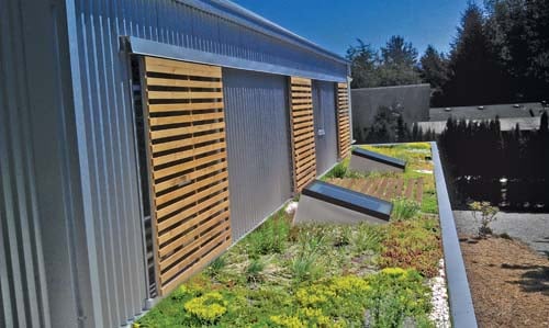 Birch House-green roof 300-web