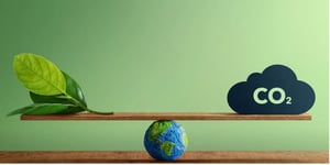 Consumer Survey Reports a Ten Fold Increase in Carbon Offset Interest In Two Years