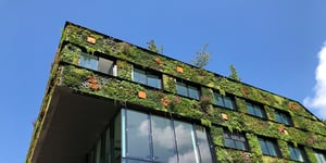 Builders Get Sustainability Right, For Now