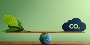 The Carbon Offsets Requisite