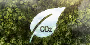 How Carbon Offsets Close the Net-Zero Gap