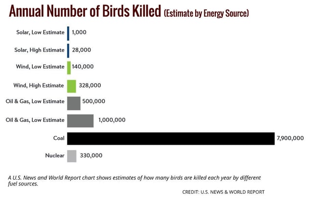 bird-kills-by-energy-source-green-builder.jpg bird-kills-by-energy-source-green-builder.jpg