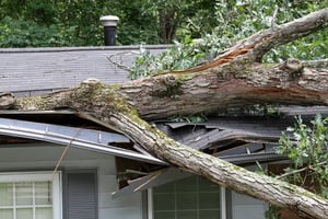Huge Increases in Home Insurance Suggest a Shift in Natural Risks