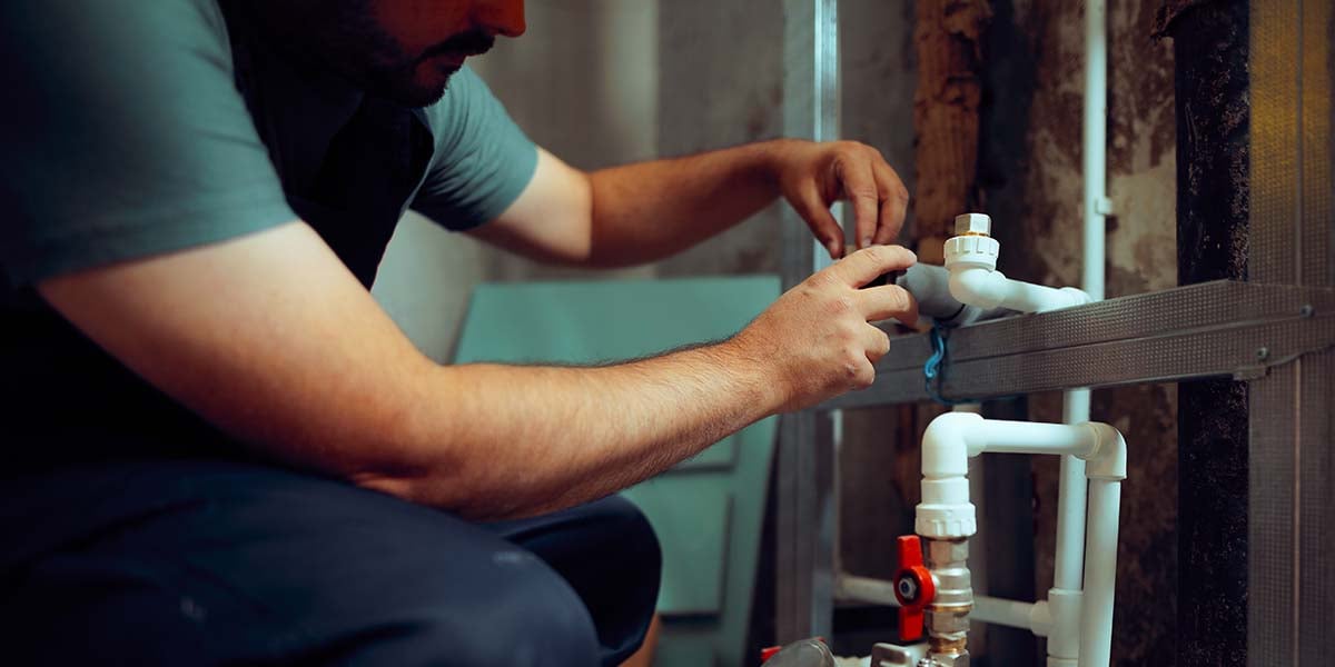 shutterstock_2655224145